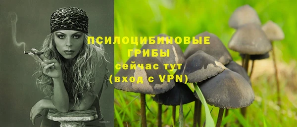 каннабис Арсеньев